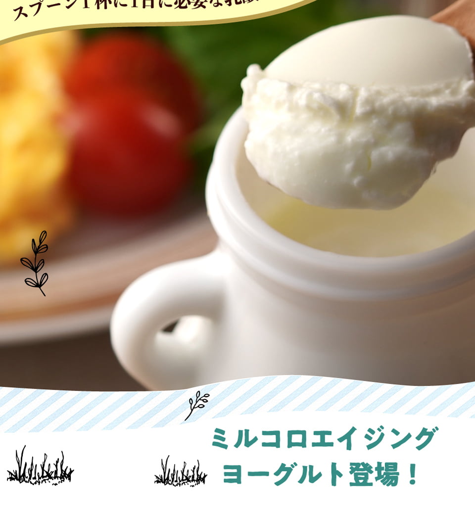 ミルコロエイジングヨーグルト登場!