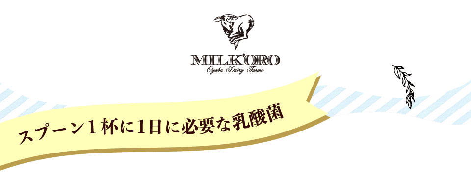 スプーン1杯に1日に必要な乳酸菌